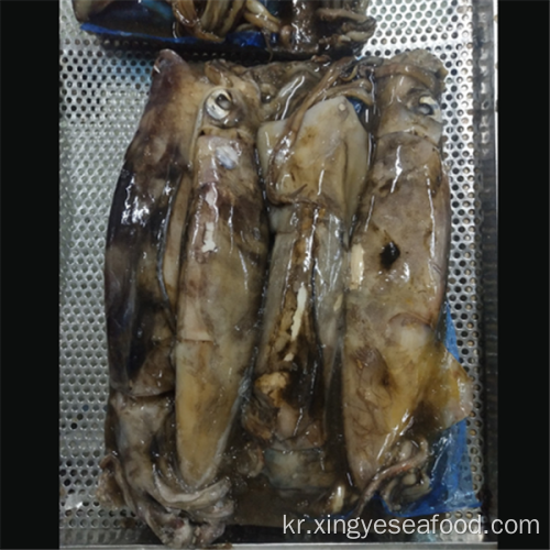 냉동 WR 거대한 오징어 Dosidicus gigas squid